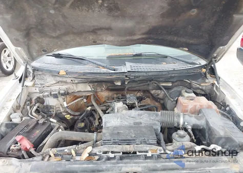 2009 Ford F-150 Stx/Xl z USA, uszkodzony, nr VIN 1FTRX12W59KB75341